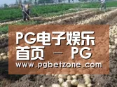 种植基地八