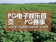 种植基地五