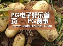 产品展示标题2