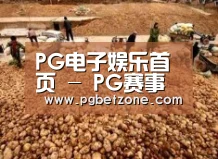 种植基地二