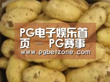 产品展示标题6