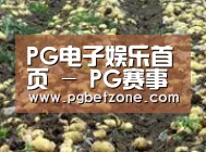 种植基地七