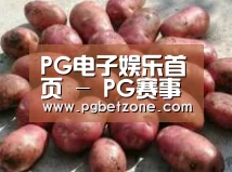 产品展示标题5
